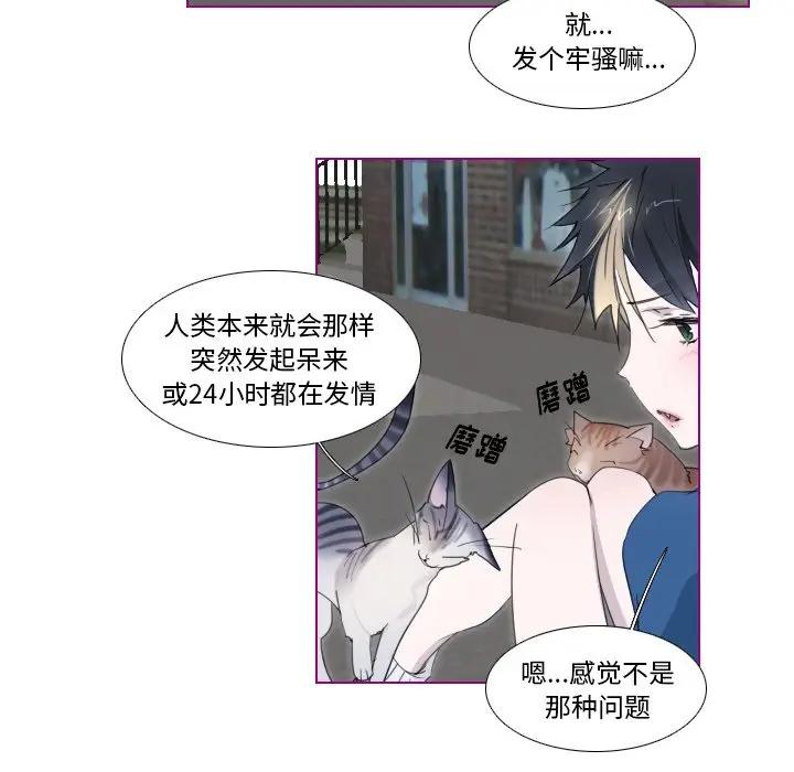 我的猫狗女友 第11话 第33页