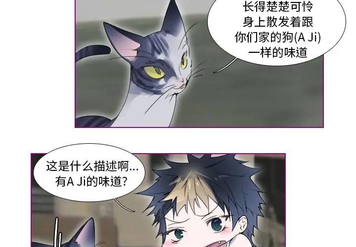 我的猫狗女友 第13话 第2页