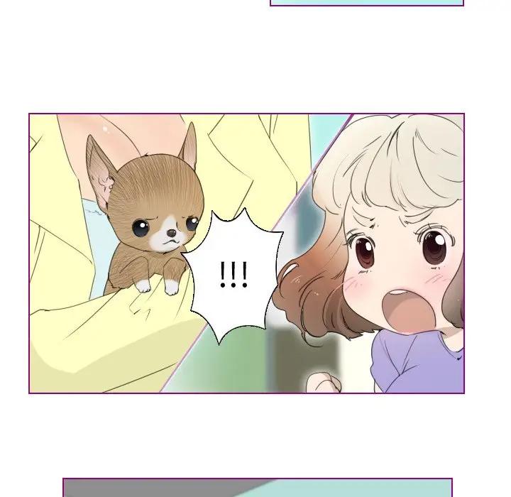 我的猫狗女友 第13话 第21页