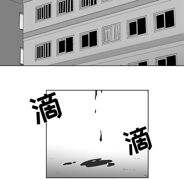 失踪的房客 失踪的房客：44 第5页