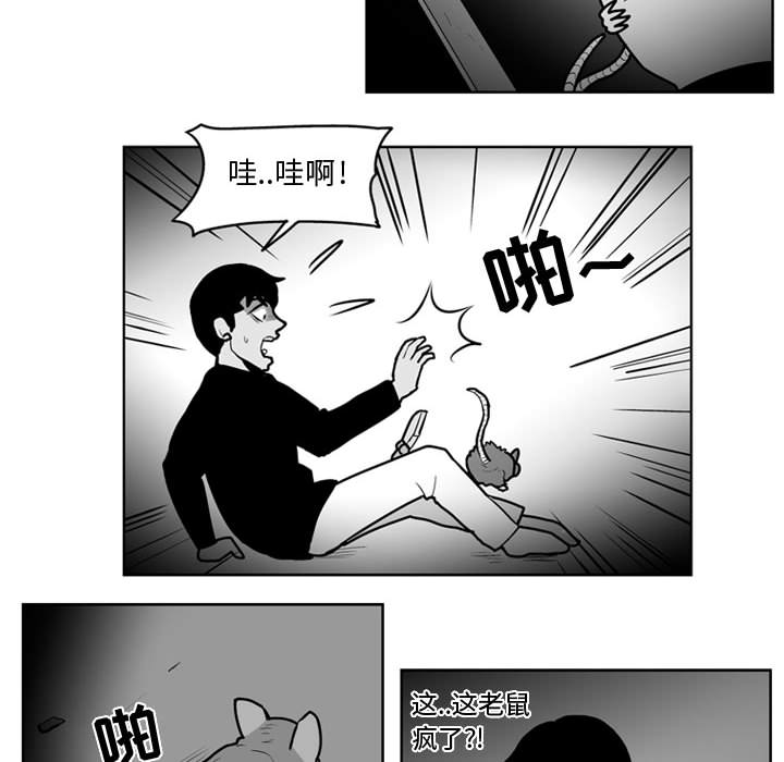 失踪的房客 失踪的房客：32 第21页