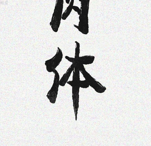 肉体 第8话 第24页