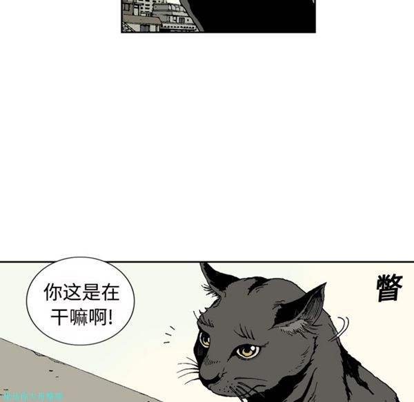 逐步靠近 第1话 第64页
