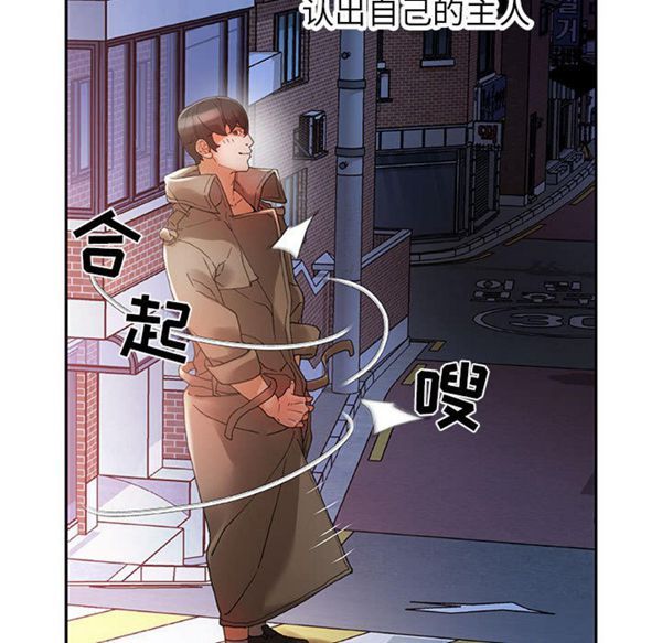 女职员 第9话 第17页
