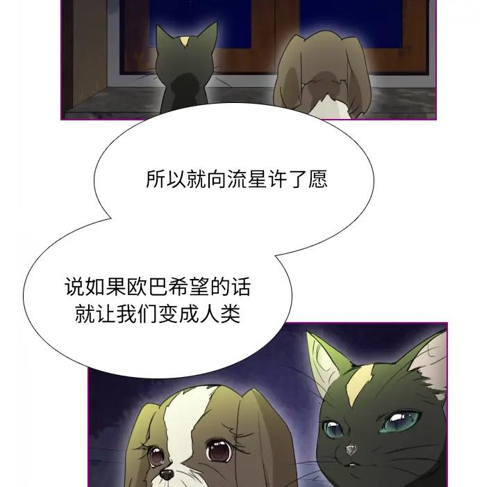 我的猫狗女友 第2话 第43页