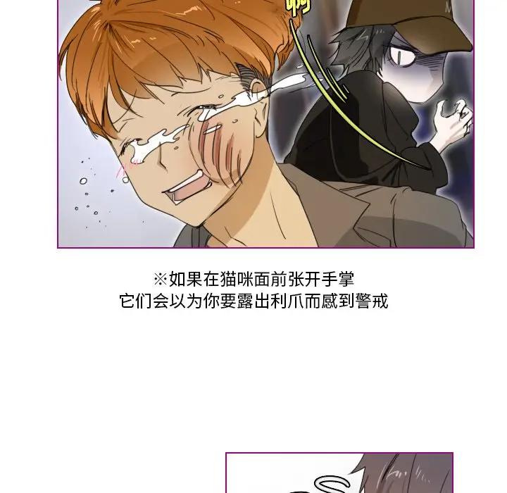 我的猫狗女友 第3话 第37页