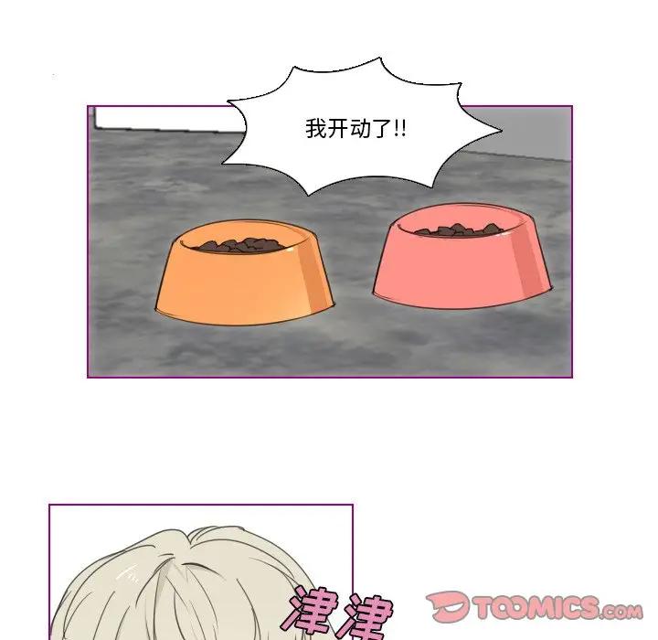 我的猫狗女友 第4话 第8页