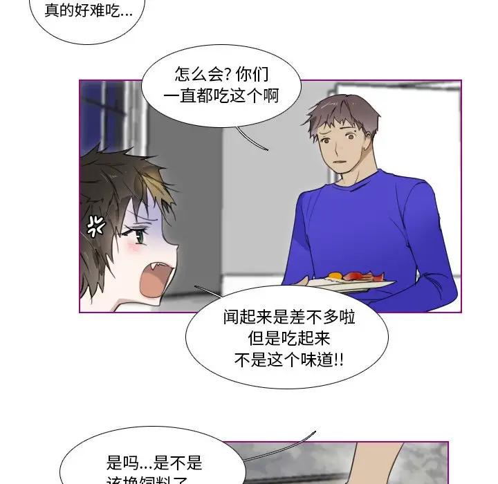 我的猫狗女友 第4话 第12页
