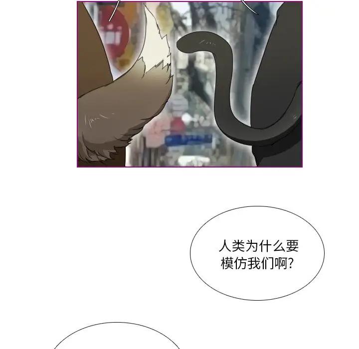 我的猫狗女友 第4话 第38页
