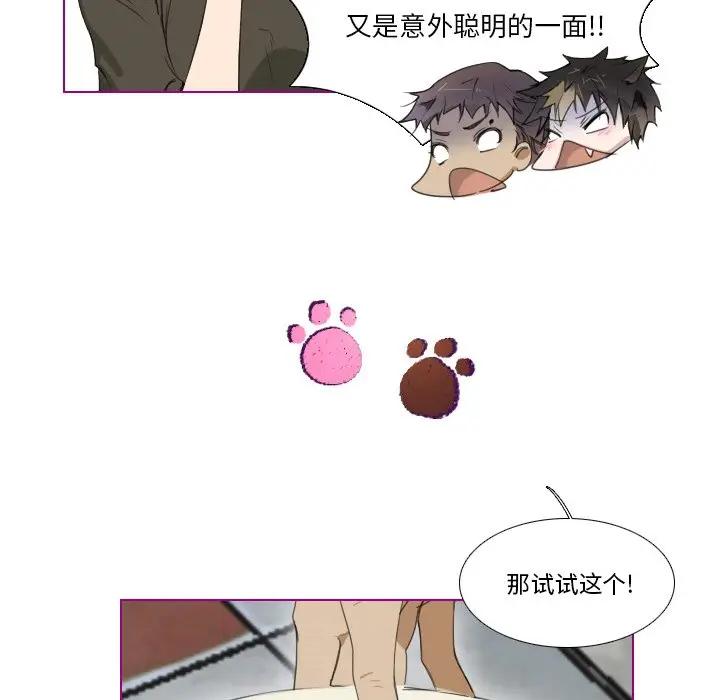 我的猫狗女友 第4话 第19页