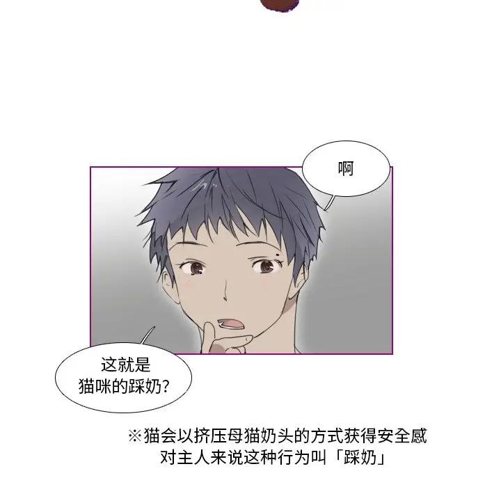 我的猫狗女友 第8话 第11页