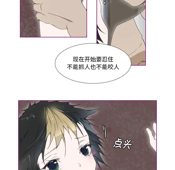我的猫狗女友 第8话 第28页