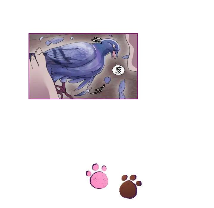 我的猫狗女友 第9话 第35页