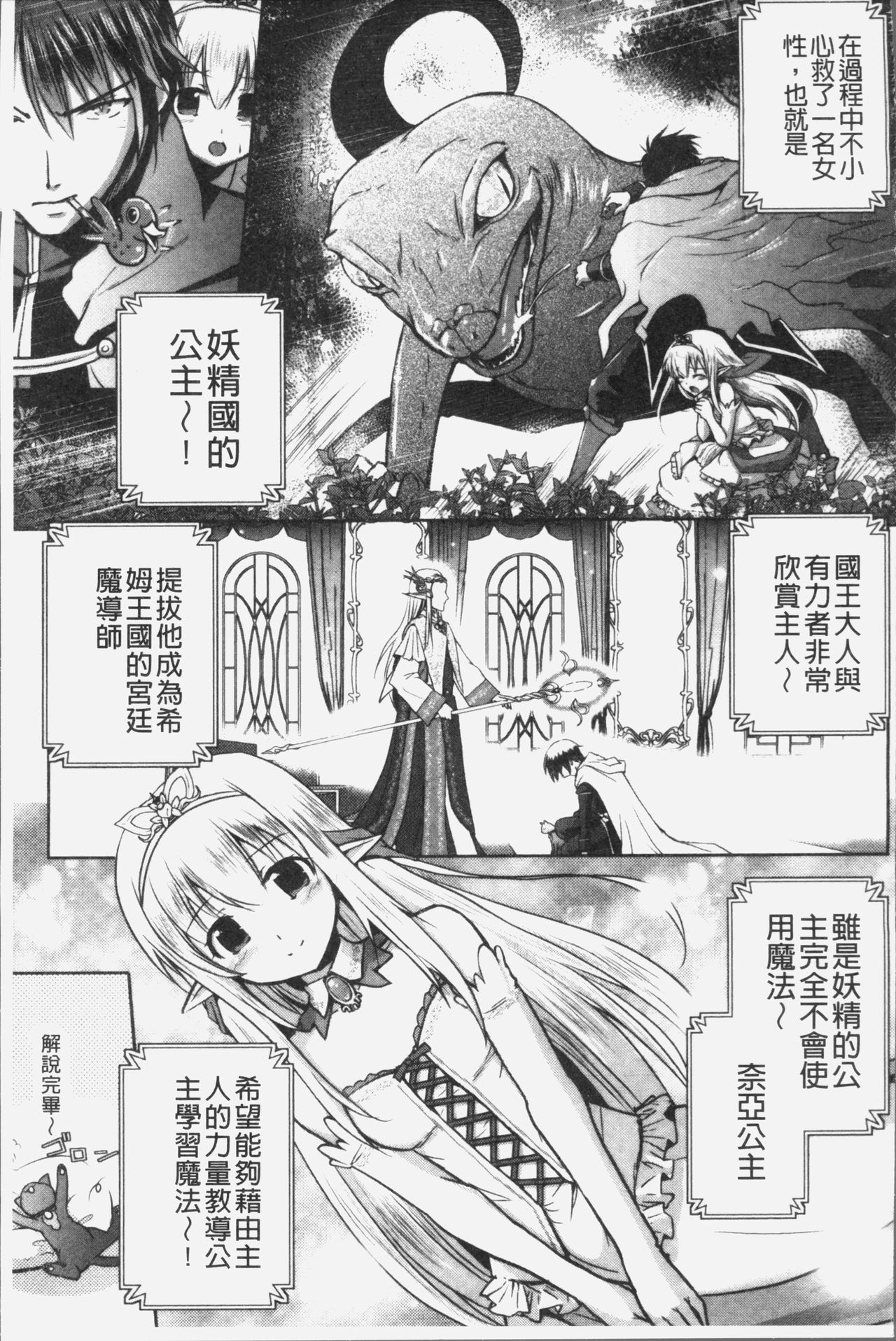 エルフの国の宮廷魔導師になれたので姫様に性的な悪戯をしてみた 第1话 第11页