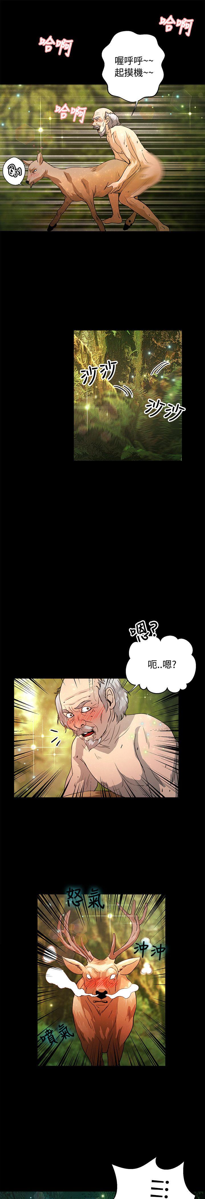 叢林愛愛法則 最終話 第22页