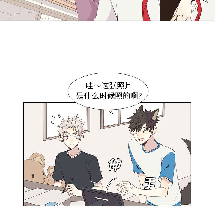 野性之城 第 15 章 第22页