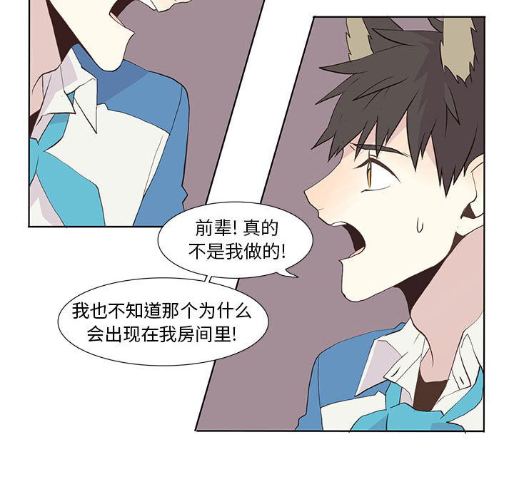 野性之城 第 16 章 第45页