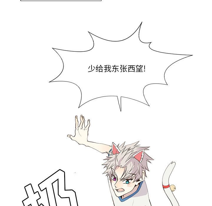 野性之城 第 25 章 第17页