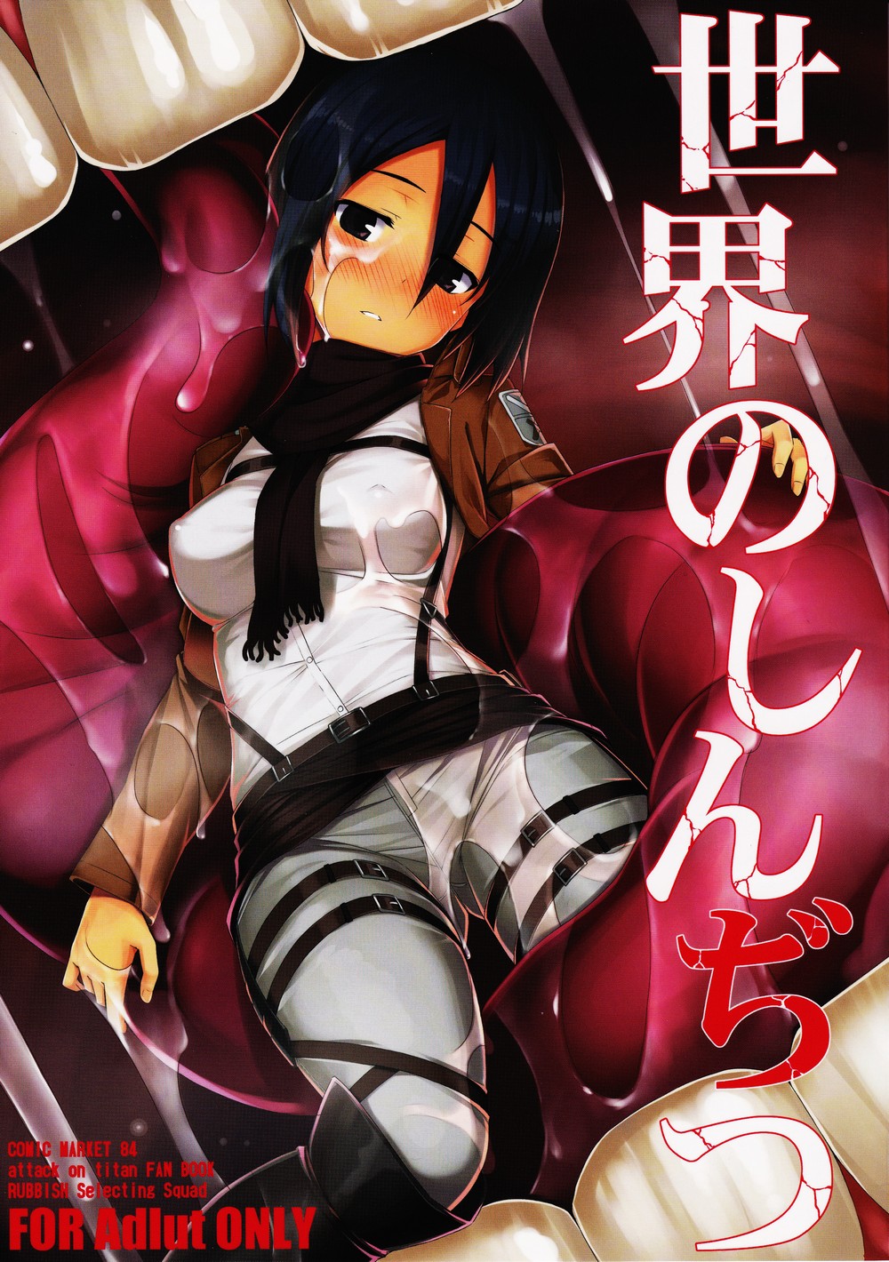 进击的巨人（本子）精选合集 12.世界的进击（C84）上 第1页