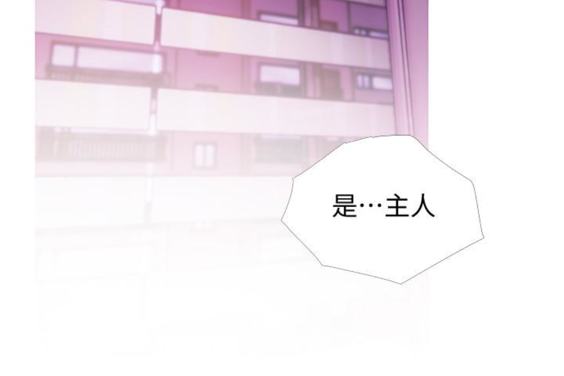 阿姨的秘密情事 第56話-性致高昂的主人 第44页