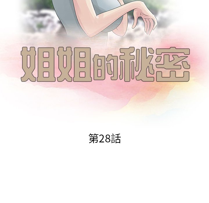 姐姐的秘密 第28章 第13页