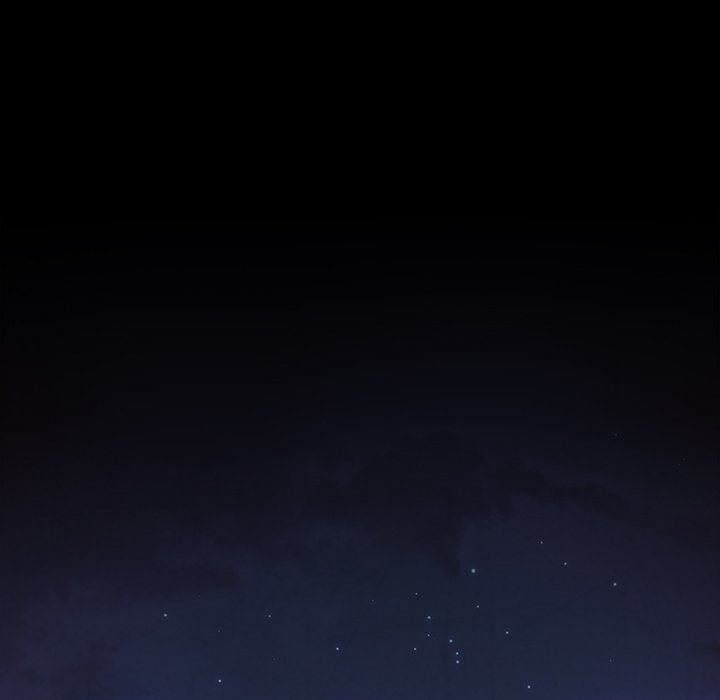 桃花 第16章 第141页