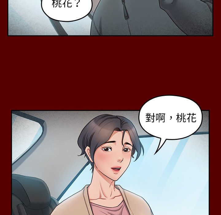 桃花 第55章 第70页