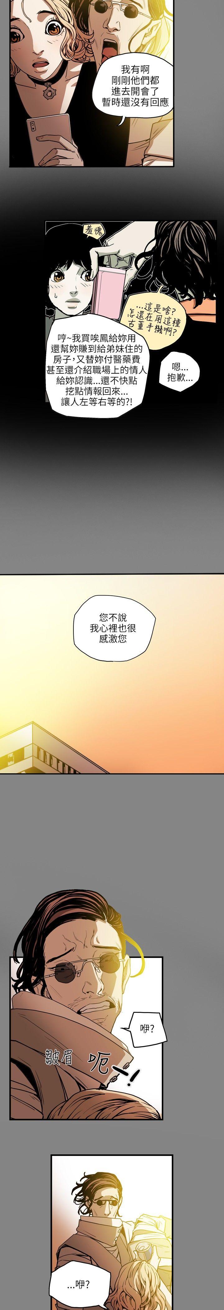 Honey trap 甜蜜陷阱 第19話 第19页