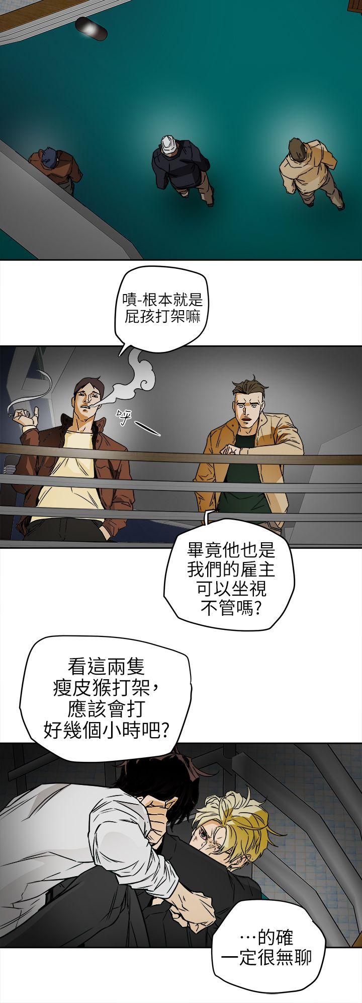 Honey trap 甜蜜陷阱 第99話 - 底端的戰爭 第12页