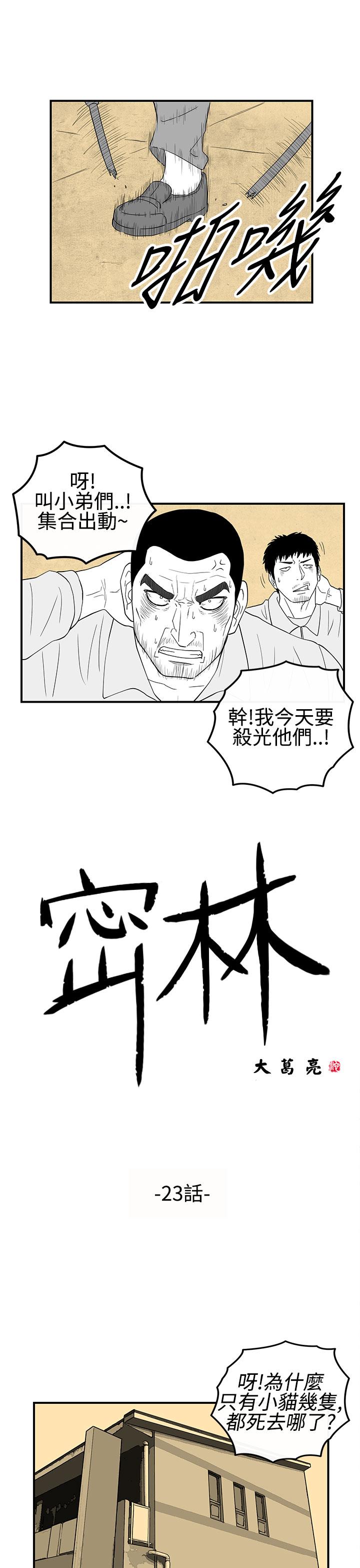 密林 第23章 第1页