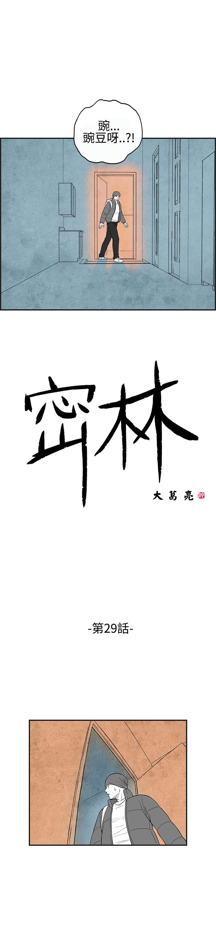 密林 第29章 第1页