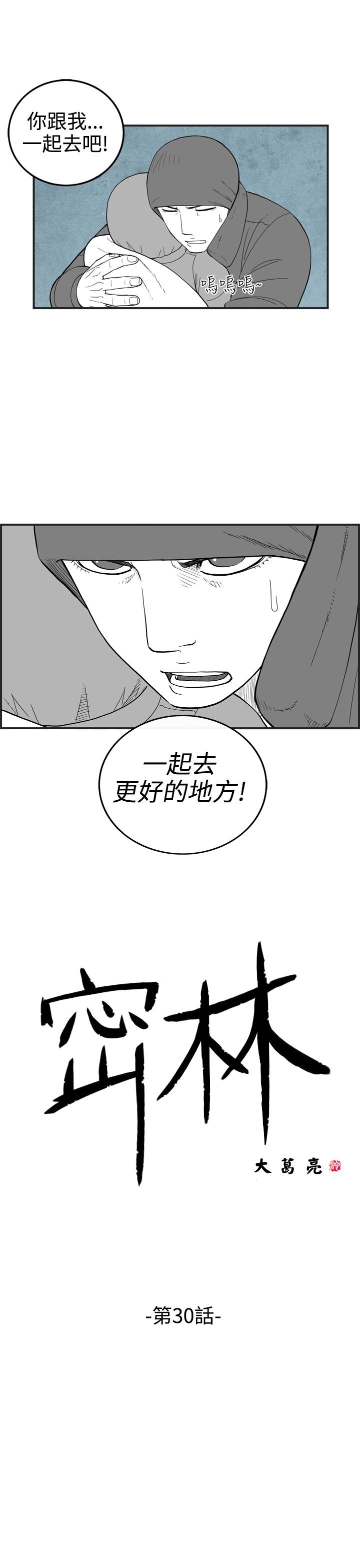 密林 第30章 第1页