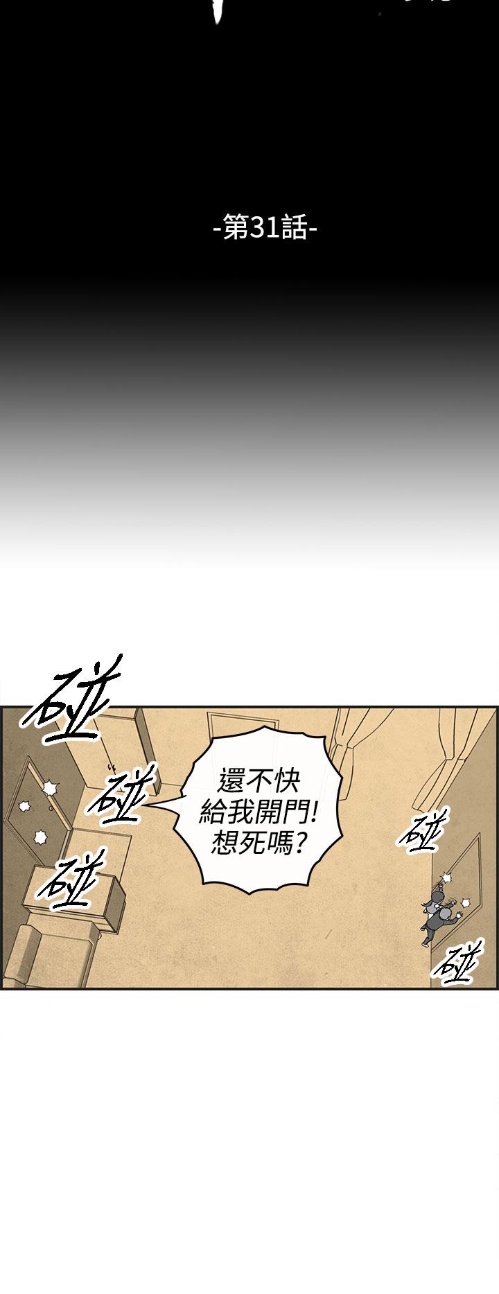 密林 第31章 第2页