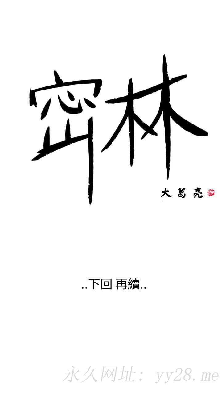 密林 第34章 第23页