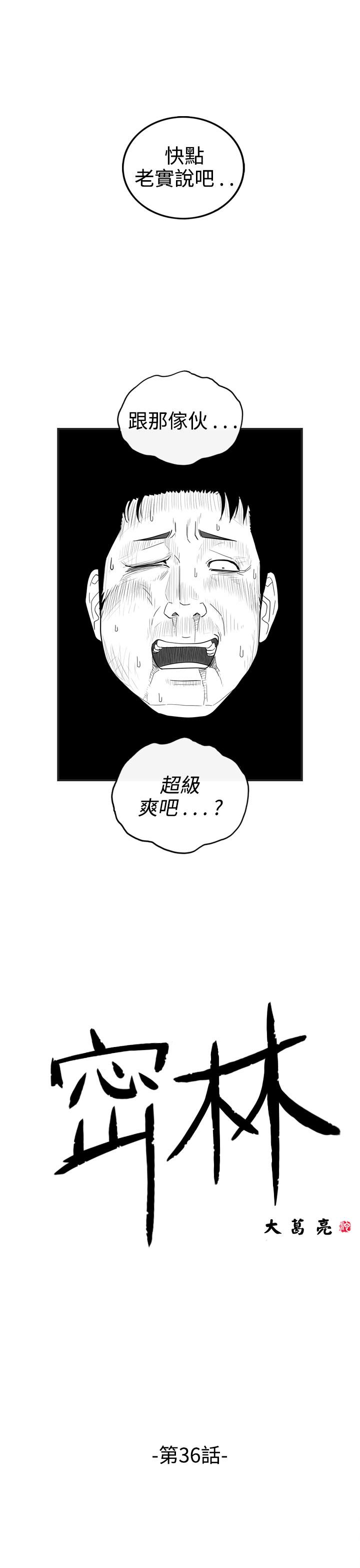 密林 第36章 第1页