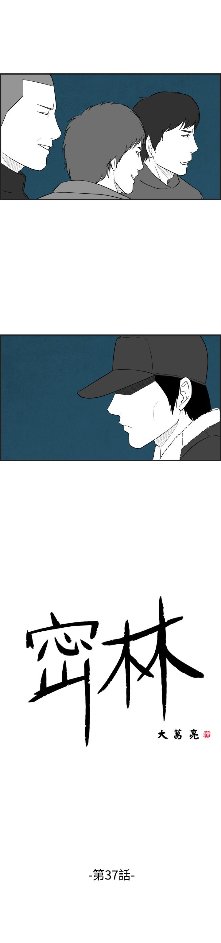密林 第37章 第1页