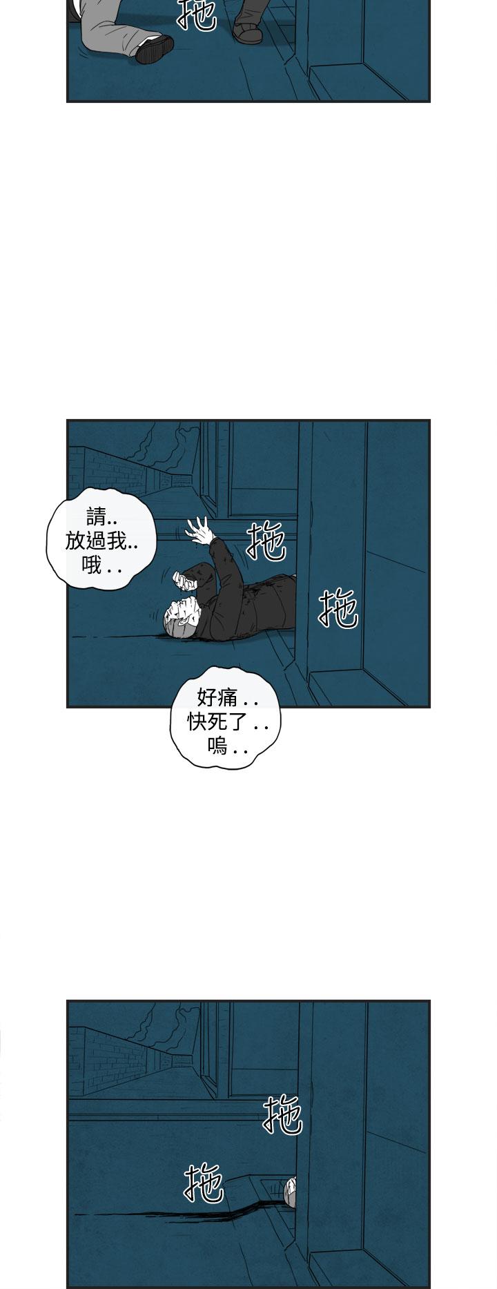 密林 第37章 第15页