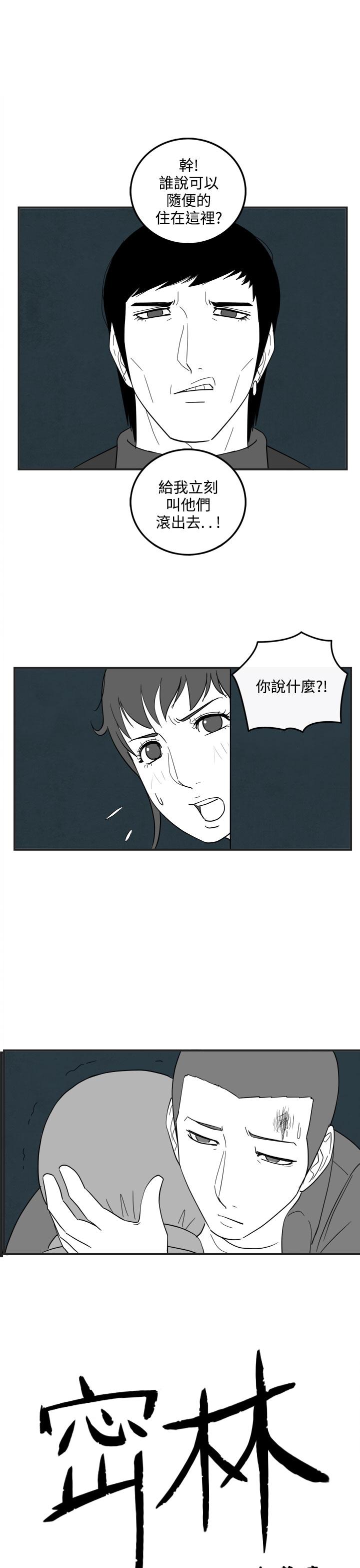 密林 第39章 第1页