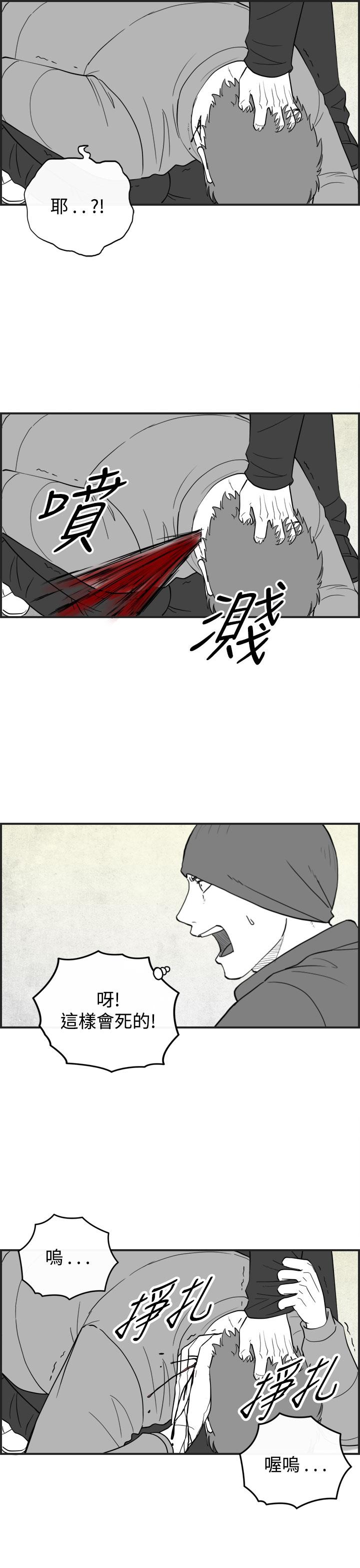 密林 第45章 第11页
