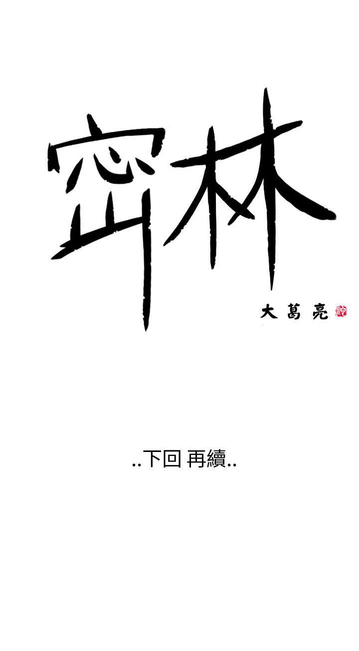 密林 第41章 第15页