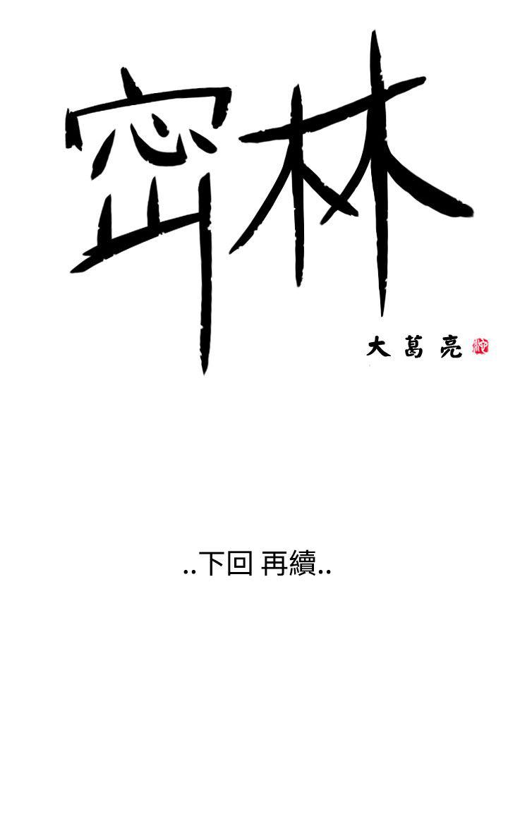 密林 第55章 第16页