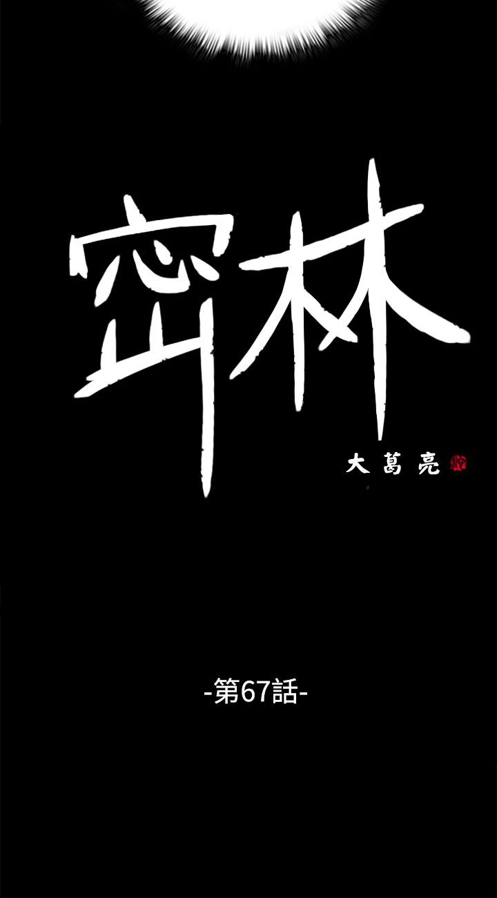 密林 第67章 第2页