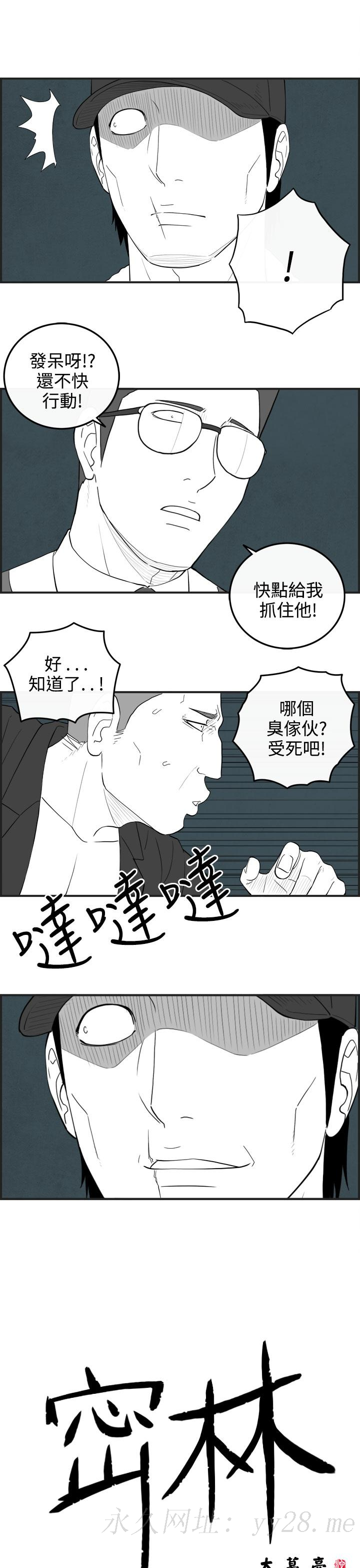 密林 第61章 第15页