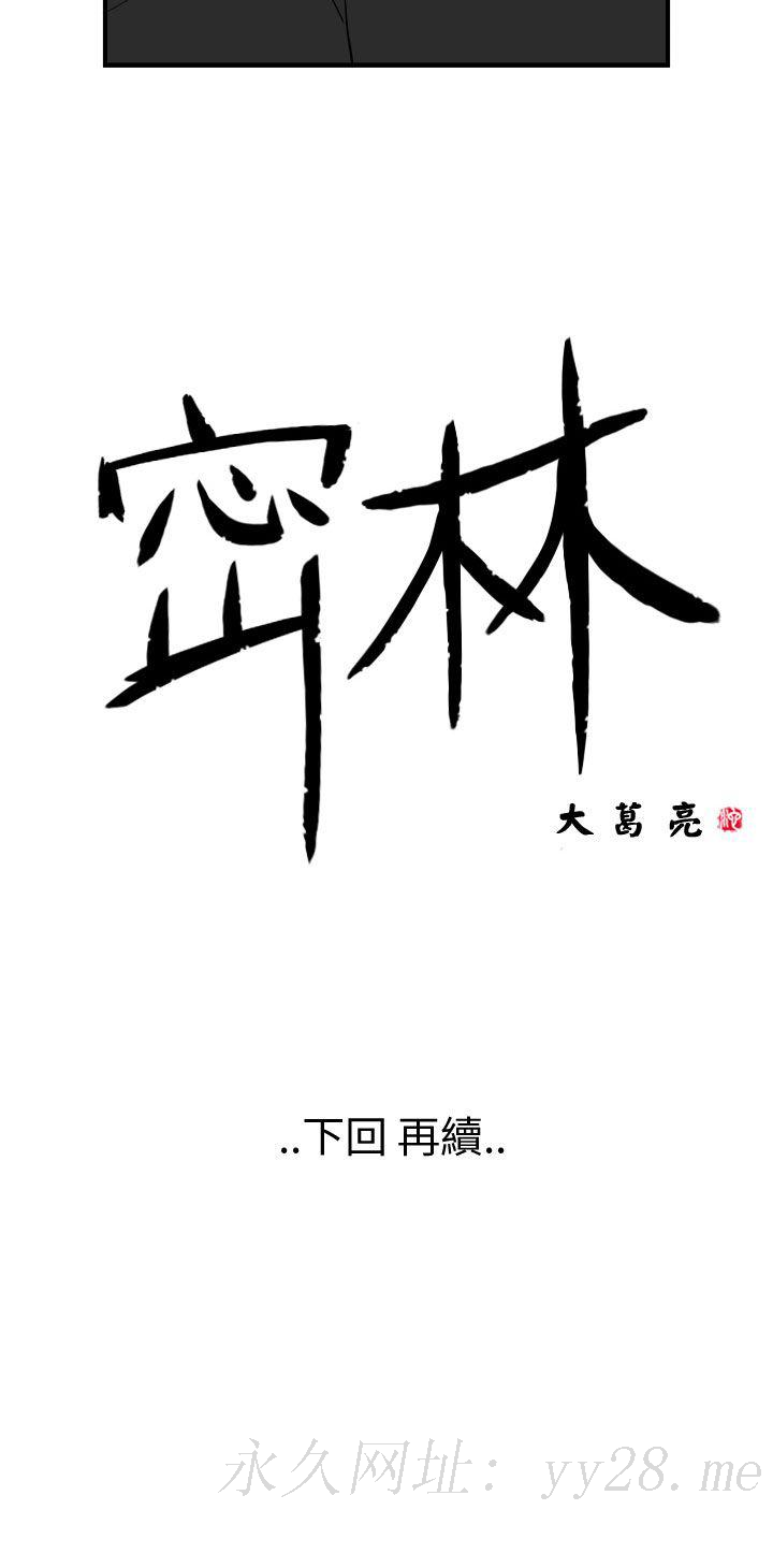 密林 第72章 第14页