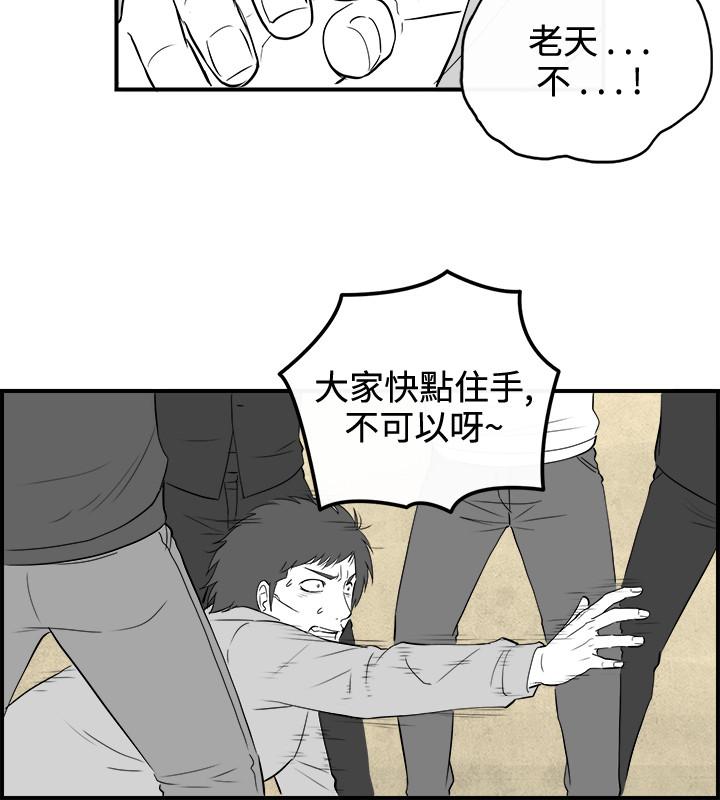密林 第84章 第11页