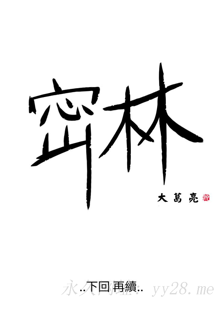 密林 第84章 第15页