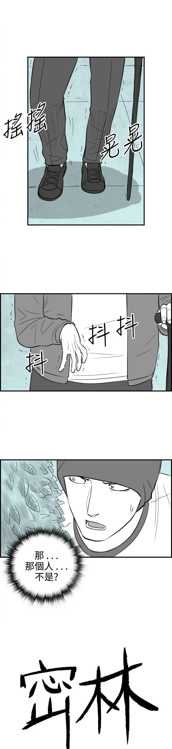 密林 第99章 第1页