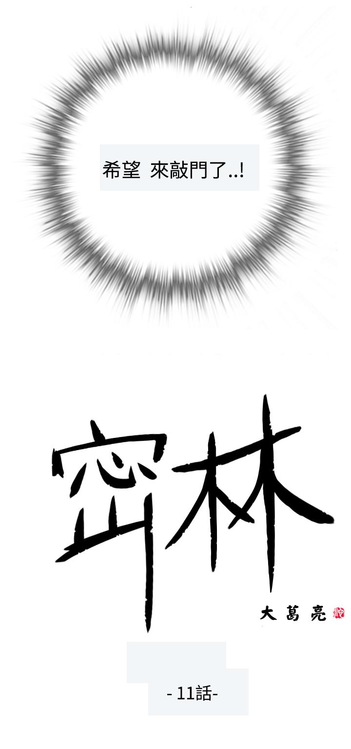 密林 第11章 第2页