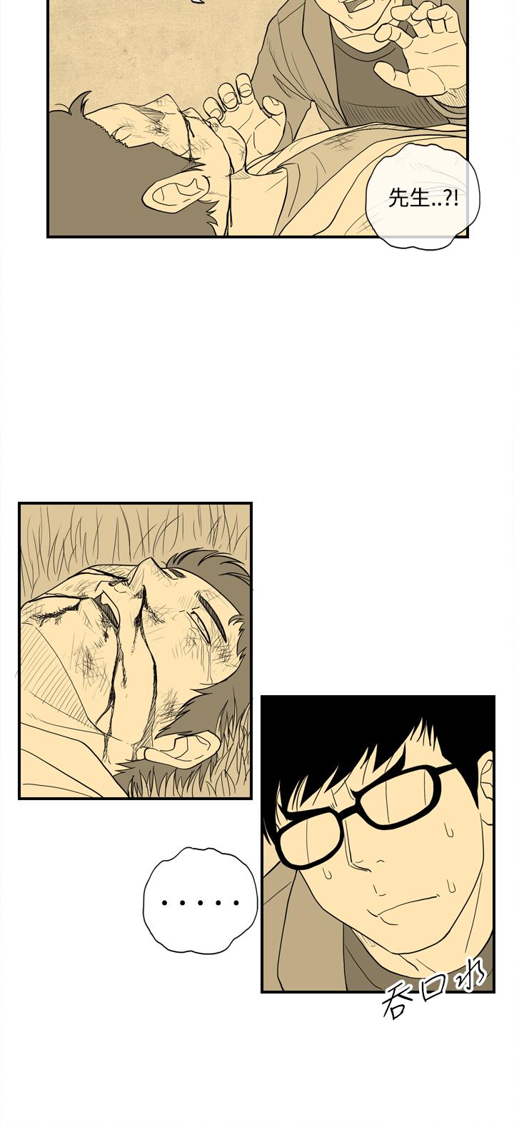 密林 第11章 第12页