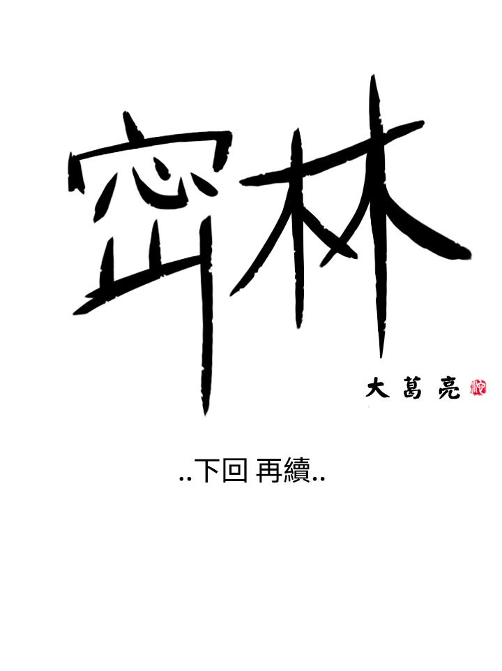 密林 第12章 第18页